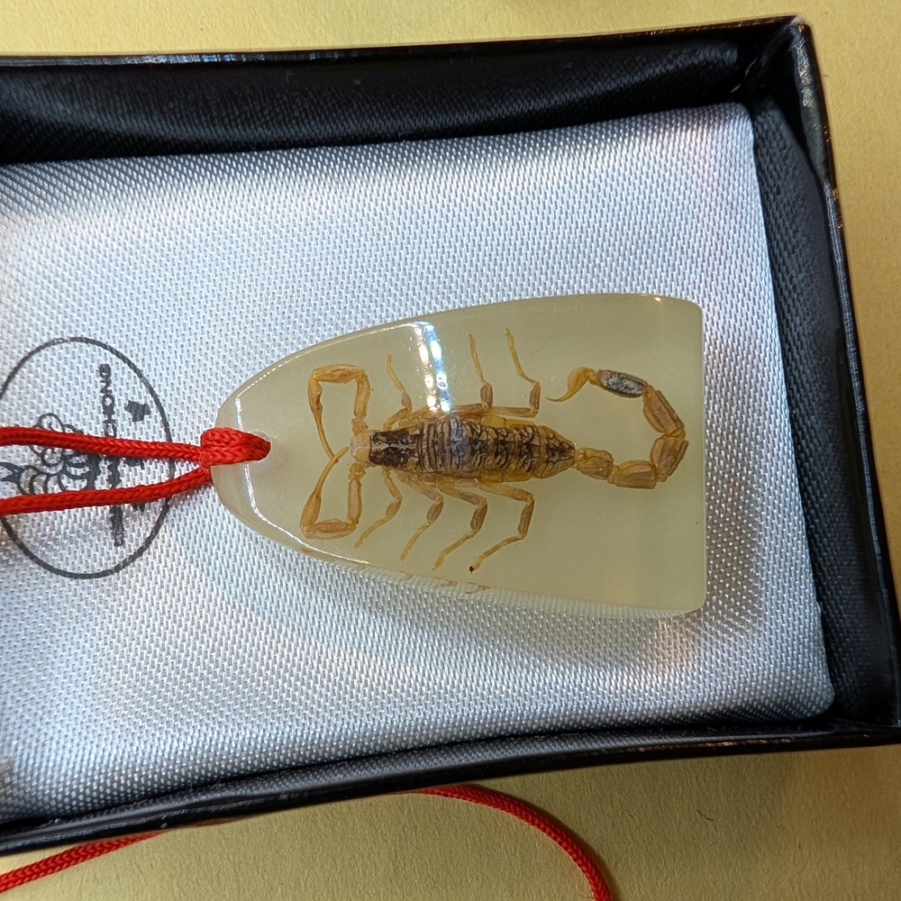 Vintage Red and Gold Scorpion Pendant Necklace